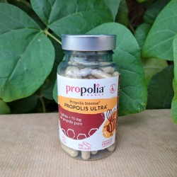 Gélules de propolis pure