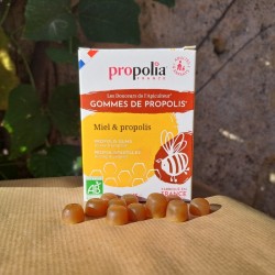 Gommes de propolis et miel bio