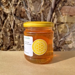 Miel de lavande artisanal récolté dans la Drôme