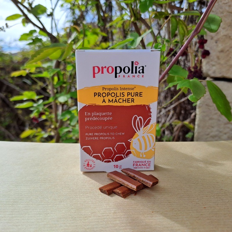 Propolis pure à mâcher