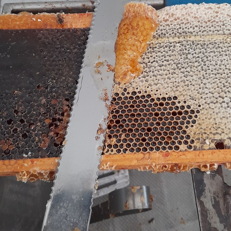 Désoperculation des cadres de miel